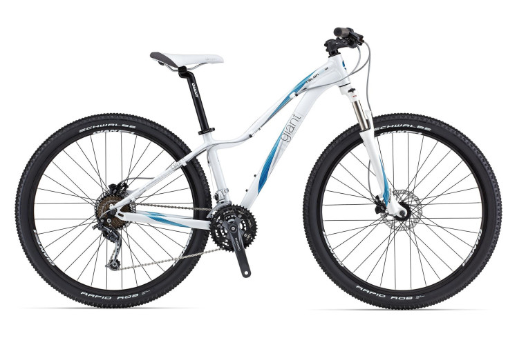 Giant Giant Talon 29er 1 W (2013)