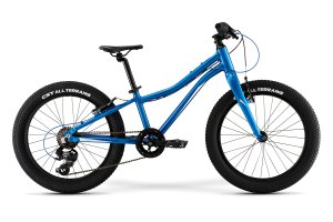 Детский велосипед Merida Matts J.20+ Eco (2021)